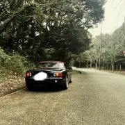ココの画像