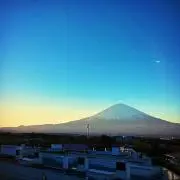 まほの画像
