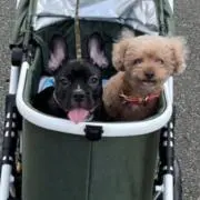 フミ