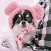 ふぃがろ♡の画像