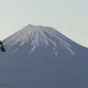 とむぱんの画像