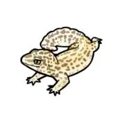 aru.の画像