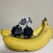 あめちゃんの画像