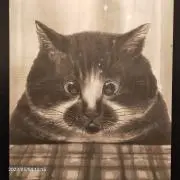 【プロフ必読】にゃん吉の画像