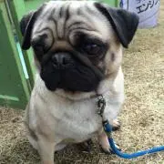 いーさん