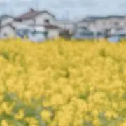 まめすけの画像