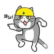現場ネコ