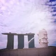 えむ　匿名配送！の画像
