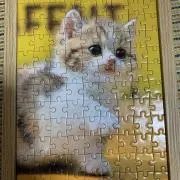 チャチャくんの画像