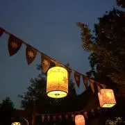 きなこの画像