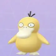 しんの画像