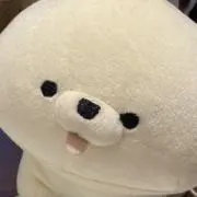 ワンの画像