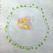 purijmの画像