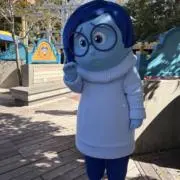 チョコミントの画像