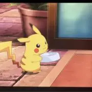 pikaの画像