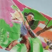 シロクマウメ