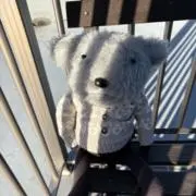 バウバウの画像