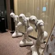 daikanの画像