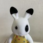 梅こぶちゃんの画像