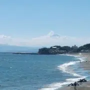mlsの画像