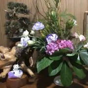 あいの画像
