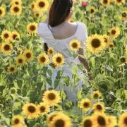 ななゆう♪ 丁寧に24時間以内に発送♪の画像