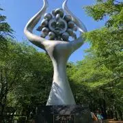 キノコノコの画像