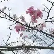 しょん 即購入可の画像