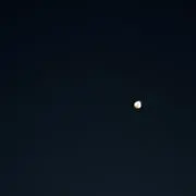 うらんの画像