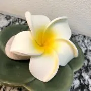 kikiの画像