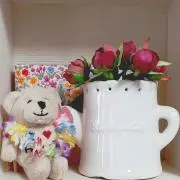 こまわり♪の画像