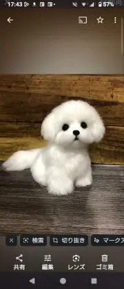チーの画像