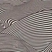 らっちょの画像
