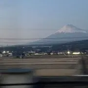ぱうの画像