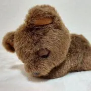T-Nの画像