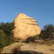 GUYの画像