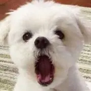 AYA 断捨離中