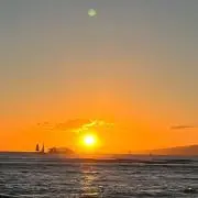 わかめの画像