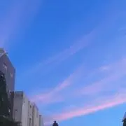 Qwerの画像