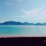 この画像