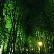 Takeの画像