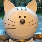 ラクーン