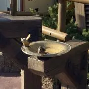さばの画像