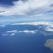 ピロちんの画像