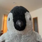 radenの画像