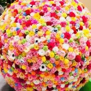 あにSHOP♡即購入大歓迎です♡の画像