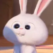 らびの画像