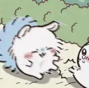断捨離の画像