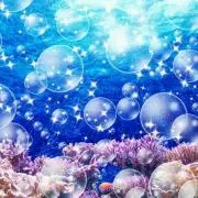 pinoの画像