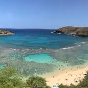 はんなの画像